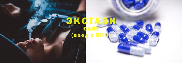 ECSTASY Горняк